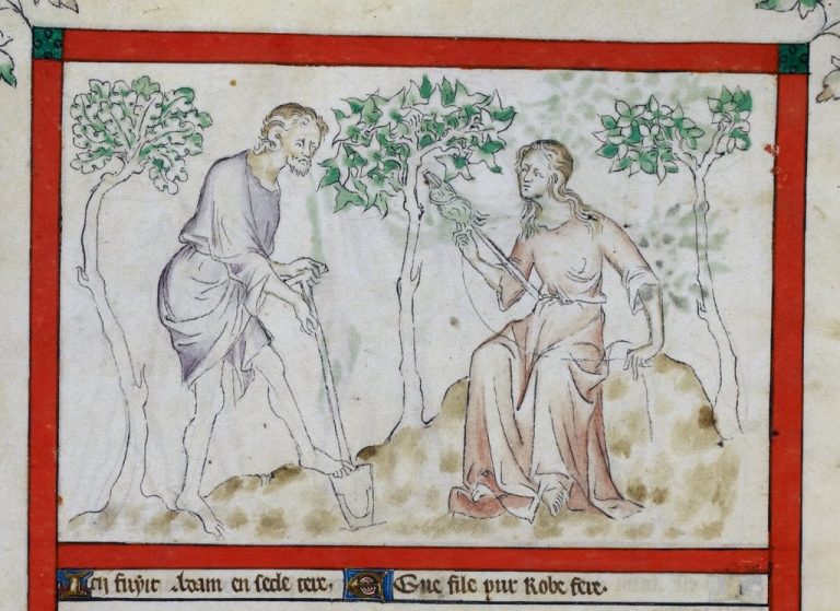 সব মানুষ একই উৎস থেকে এসেছে: বৈজ্ঞানিক দৃষ্টিভঙ্গি